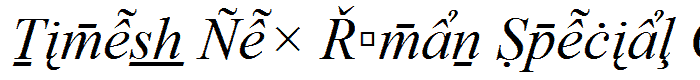 Times New Roman Special G2 Italic font